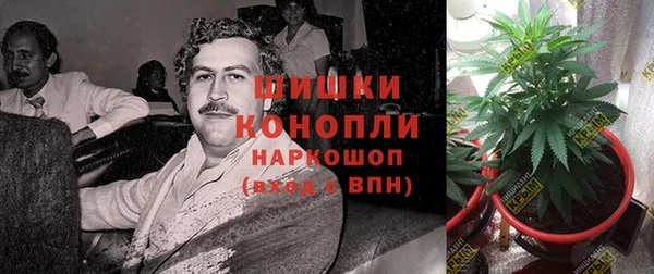 СК Кукмор