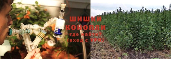 СК Кукмор