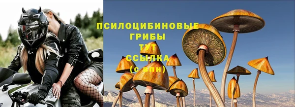 СК Кукмор