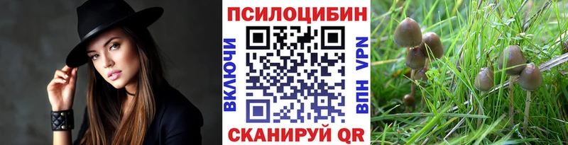 Купить где  Дубна  Галлюциногенные грибы мицелий 